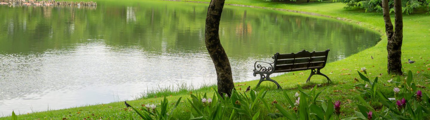 Pond with bench
